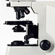 Binocular Biological Microscope